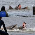 Ron Burgundy fighting a shark