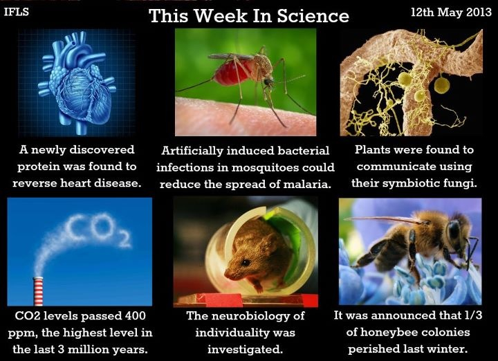 This week in Science! - meme