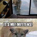 Really..its mittens