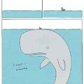 whale :D