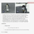 penguinsss :D