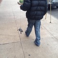 Just walkin' my turtle