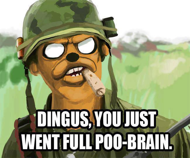 Never go full poo-brain. - meme