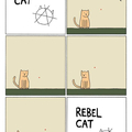 Rebel cat 