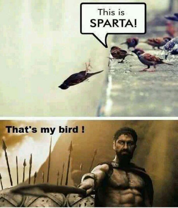 This is SPARTAAAA!!!! - meme