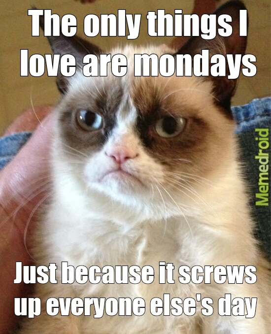 GRUMPY CAT LOVES SHIT?!?! - meme