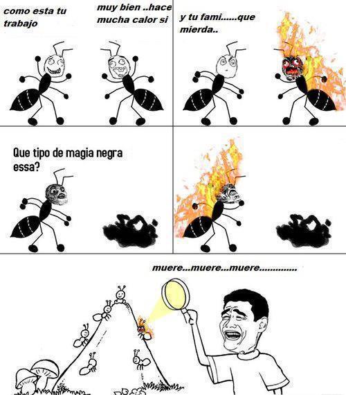 Como matar a una hormiga :D - Meme by luizitho69 :) Memedroid