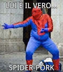 spider pork - meme