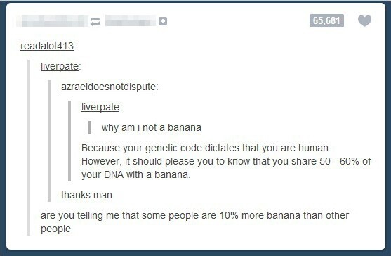 bananas are awesome - meme