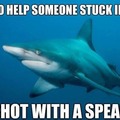 Mrs. misunderstood sharky shark