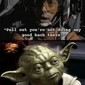 Yoda's intelligence level: unmatchable