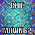 Is it moving 