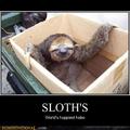 sloths :)