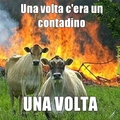 Evil cows
