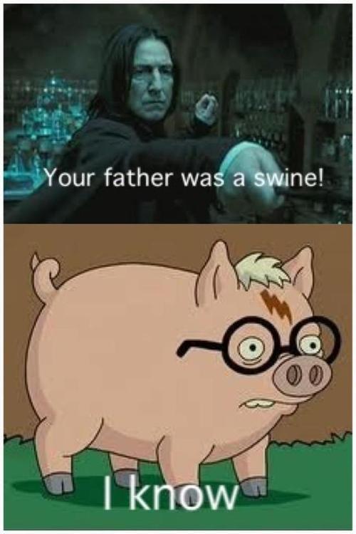 Potterswine - meme