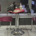 pigeon wedding. What's there for food?