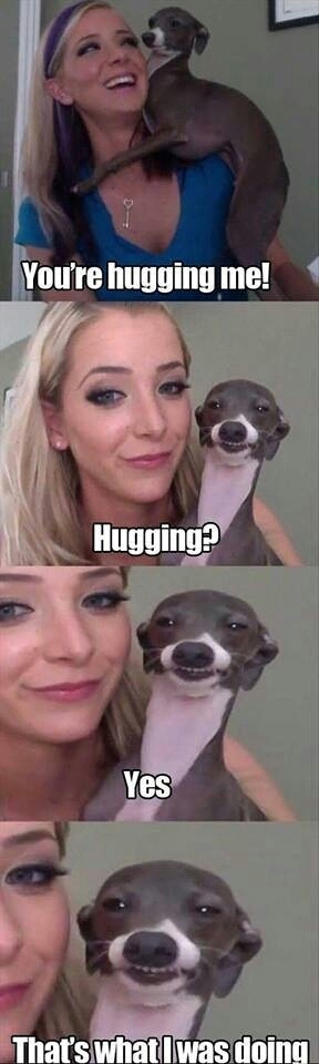 duh.. of course it's a hug - meme