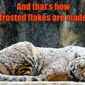 frosted snow flakes