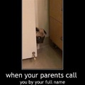 When your parents call you