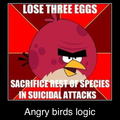 angry bird logic