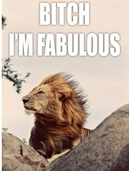 Fabulous lion - meme