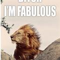 Fabulous lion