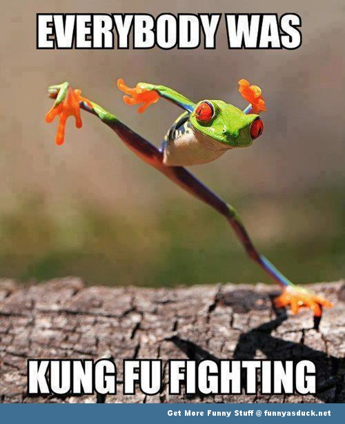 EVERYBODY WAS KUNG FU FIGHTING!! - meme
