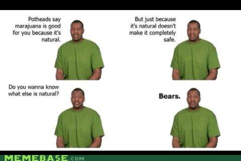 I like bears - meme