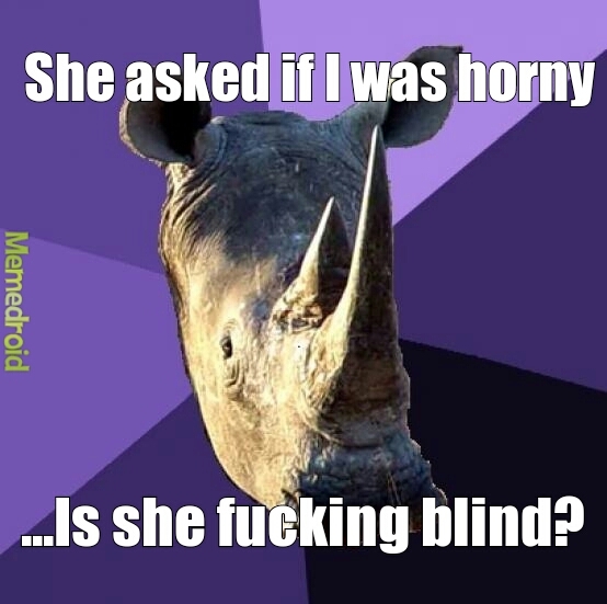 rhino isn't only thing that's horny - meme