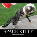 SPACE KITTY!!!!
