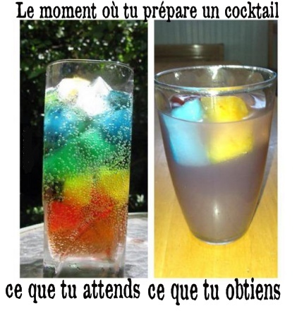 cocktails maison vs bar - meme