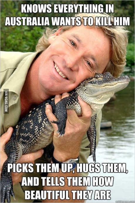 good guy crocodile hunter r.i.p. - meme