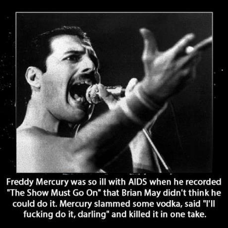 Fucking Freddie, man. - meme