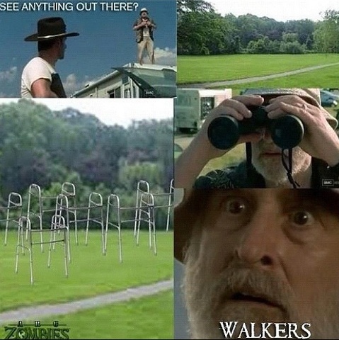 WALKERS! - meme