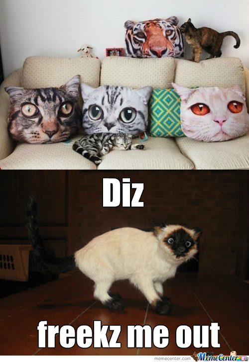 giant cat head pillows, looks freaky  - meme