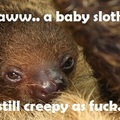 gtfo sloth don't reproduce.