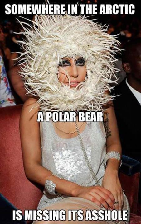 lady gaga what are you doing? - meme