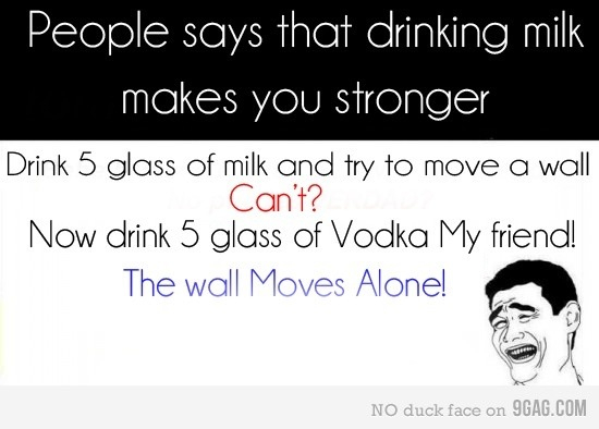 Vodka is always the solution!  - meme