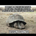 Lesson Learned