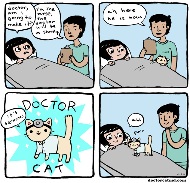 Doctor cat - meme
