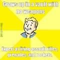 Fallout logic