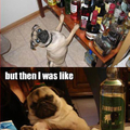 Party Pug