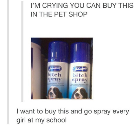 bitch spray - meme