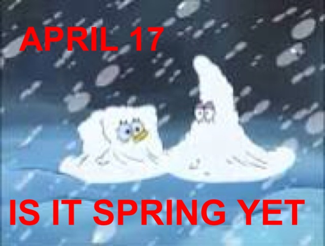 Colorado's spring wtf - meme
