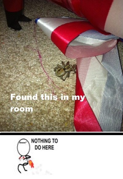 Spider in my room, thank God it was already dead! - meme