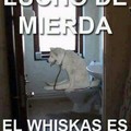 whiskas xD