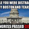 CISPA allows goverment to watch, censure or stop online comunication, that could be dangerous... Thats something like ACTA...