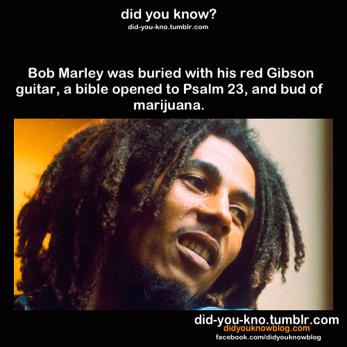 Bob Marley FTW - meme