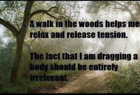 relaxing woods.....or not!! - meme