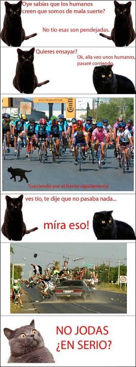 gato negros=mala suerte - meme